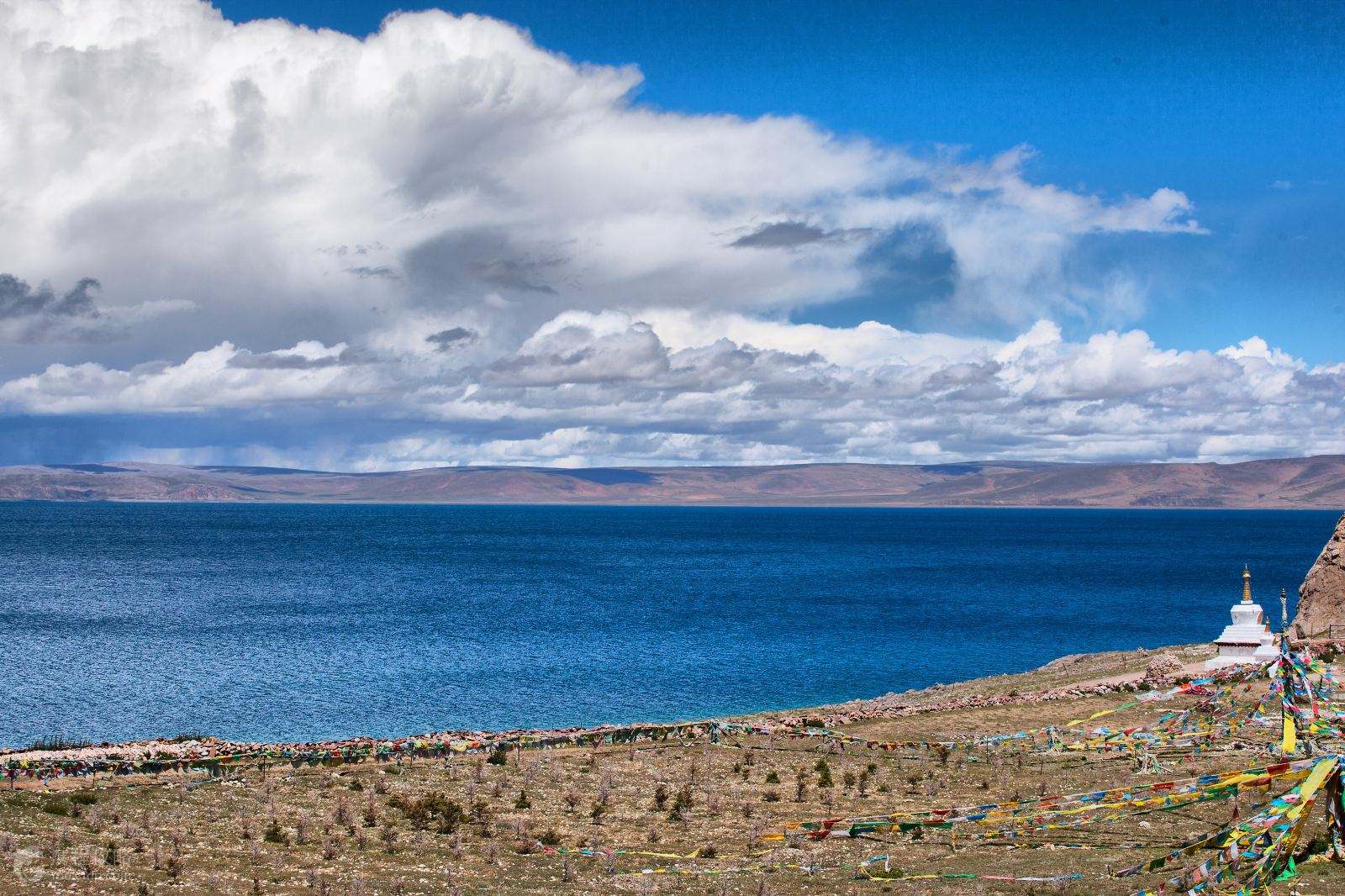 西藏小巷独特风情探寻之旅